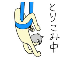 Aerial yogi cat 'AERU' sticker #12004743