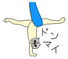 Aerial yogi cat 'AERU' sticker #12004745