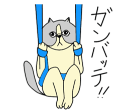 Aerial yogi cat 'AERU' sticker #12004746