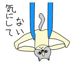 Aerial yogi cat 'AERU' sticker #12004747