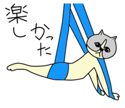 Aerial yogi cat 'AERU' sticker #12004749