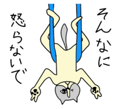 Aerial yogi cat 'AERU' sticker #12004759