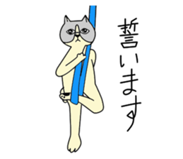 Aerial yogi cat 'AERU' sticker #12004760