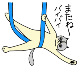 Aerial yogi cat 'AERU' sticker #12004762