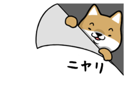 NEKO DAIKAN 5 sticker #12005542