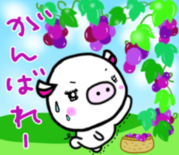 White pig Shannon, occasionally Jamie. sticker #12006749