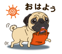 A sticker willingly. Pug 2 sticker #12007686