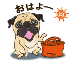 A sticker willingly. Pug 2 sticker #12007687