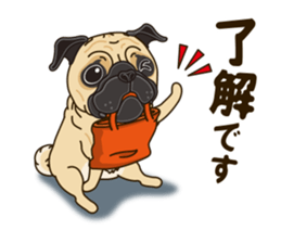 A sticker willingly. Pug 2 sticker #12007691