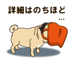 A sticker willingly. Pug 2 sticker #12007696