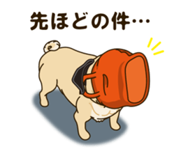 A sticker willingly. Pug 2 sticker #12007703