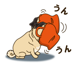 A sticker willingly. Pug 2 sticker #12007708