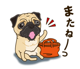 A sticker willingly. Pug 2 sticker #12007725