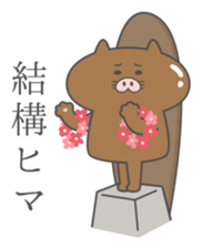 Butaneko city Hawaii Sticker sticker #12008022