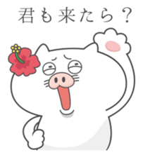 Butaneko city Hawaii Sticker sticker #12008035