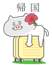 Butaneko city Hawaii Sticker sticker #12008044