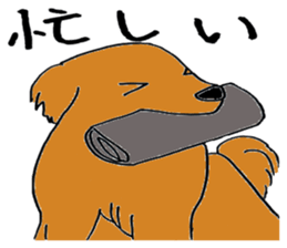 Unique people in neighborhood sticker #12008903