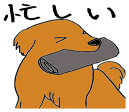 Unique people in neighborhood sticker #12008903