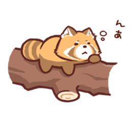 Red Panda Sticker2 sticker #12009009