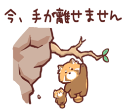 Red Panda Sticker2 sticker #12009010