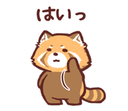 Red Panda Sticker2 sticker #12009013
