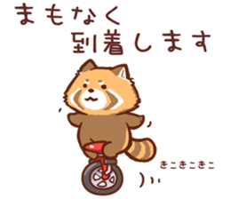 Red Panda Sticker2 sticker #12009019