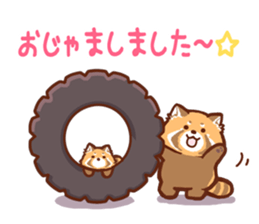 Red Panda Sticker2 sticker #12009020