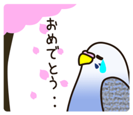 budgerigar! [Ver3] sticker #12009369