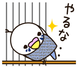 budgerigar! [Ver3] sticker #12009373