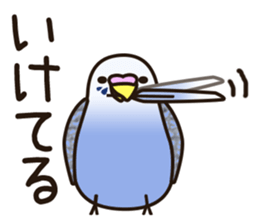budgerigar! [Ver3] sticker #12009374