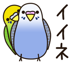 budgerigar! [Ver3] sticker #12009376