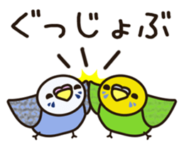 budgerigar! [Ver3] sticker #12009377