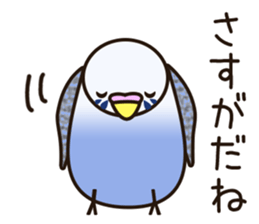budgerigar! [Ver3] sticker #12009384