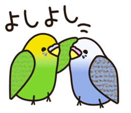 budgerigar! [Ver3] sticker #12009385
