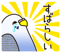 budgerigar! [Ver3] sticker #12009389