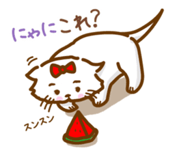 The cat loves taking a walk. sticker #12009607