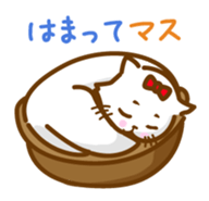 The cat loves taking a walk. sticker #12009644