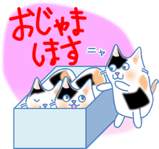 Meow meow cats 2 sticker #12009963