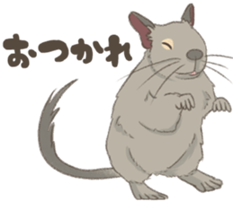 Degu's Daily Life sticker #12010368