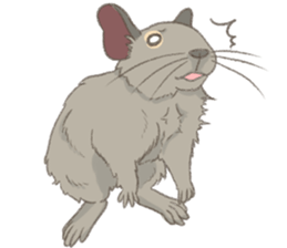 Degu's Daily Life sticker #12010381