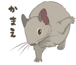 Degu's Daily Life sticker #12010382