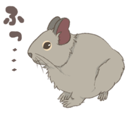 Degu's Daily Life sticker #12010390