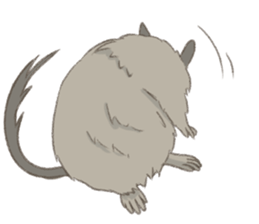 Degu's Daily Life sticker #12010395