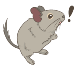 Degu's Daily Life sticker #12010398