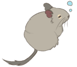 Degu's Daily Life sticker #12010404