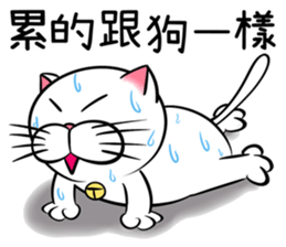 Stupid Fat White Cat 2 sticker #12015091