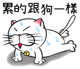 Stupid Fat White Cat 2 sticker #12015091