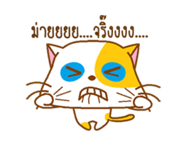 KAI-TOM The Cat (Dookdik) sticker #12015463