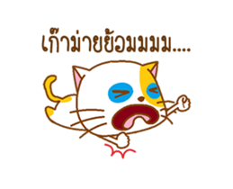 KAI-TOM The Cat (Dookdik) sticker #12015470