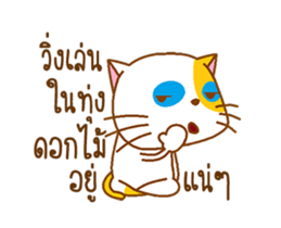 KAI-TOM The Cat (Dookdik) sticker #12015475